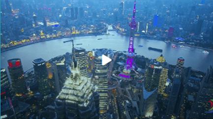 Sensor and Harness in Construction Machinery Applications